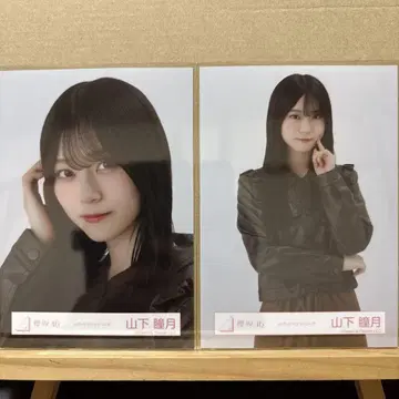 사쿠라자카46 가죽 자켓 코디 브로마이드 야마시타 시즈키 요리, 츄