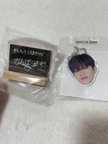 treasure 팝업 캡슐 토이 정우