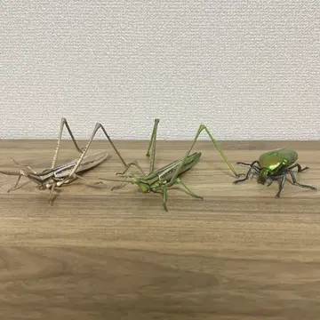 생물대도감 3세트