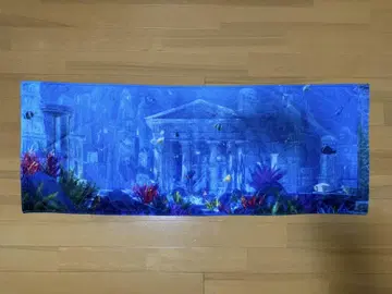 미세스 Atlantis 타월