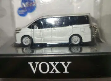 VOXY 미니카