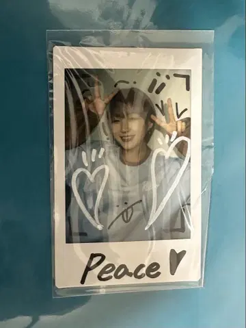 노아 님 요청 6개