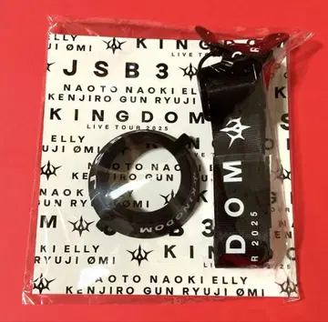 3대째 JSB Light 스틱 스트랩 KINGDOM