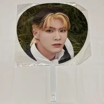 타니구치 타이치 BIG 부채