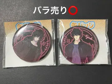 슬로우 데미지 캔뱃지 토와 후지에 eeo 복권