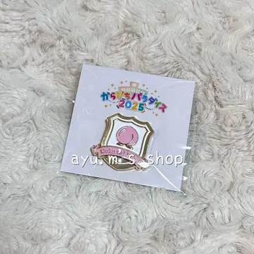 컬러풀 피치 카라피치 라이브 파라다이스 2025 모티브 핀 배지