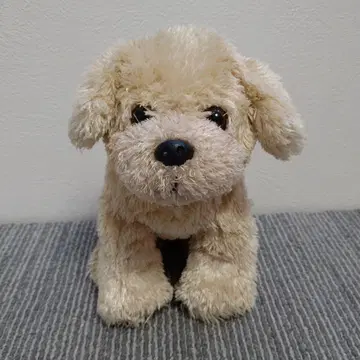 스위트 강아지 봉제 인형