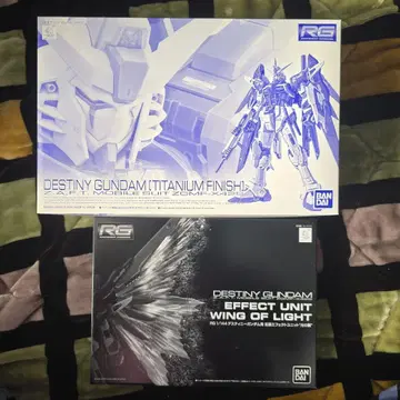 RG 데스티니 건담 티타늄 피니쉬 & 빛의 날개 세트