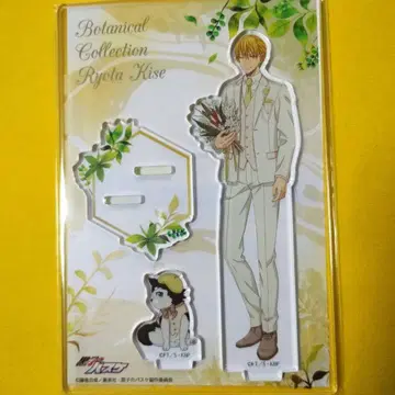 쿠로코의 농구 노란색 아크릴 스탠드 Botanical Collection