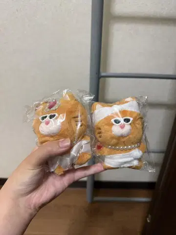 오렌지 고양이 봉제 인형 2개 세트