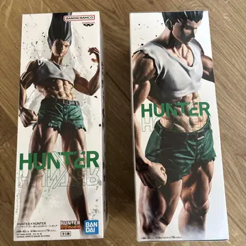 HUNTER x HUNTER 곤 씨 피규어