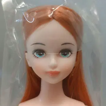 시온 오타노시미 인형 오렌지 리카짱 캐슬