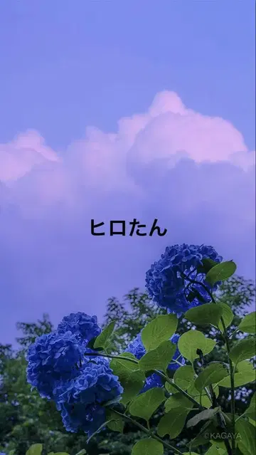 히로땅