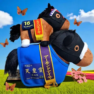 새상품 서러브레드 컬렉션 아몬드 아이 말 의류 언라이벌드 세트