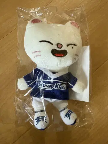 SKZOO 지니 레트 POPUP 백 참 봉제 인형