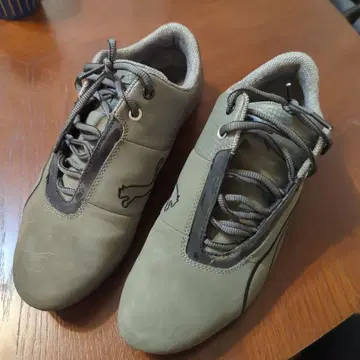 Puma 그레이 스니커즈 드리프트 캣?