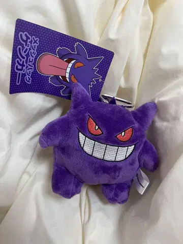 포켓몬 센터 메쉬 백 겐가 에코백