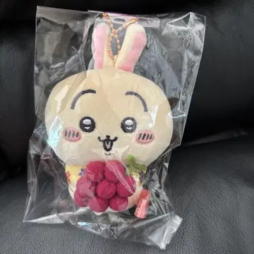 치이카와 (먼작귀) 지역 한정판 야마나시 포도 토끼 봉제 인형 키체인