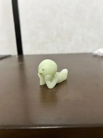 스미스키 보트 스키 SMISKI