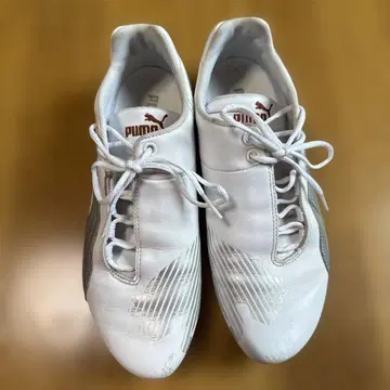 푸마 스피도 캣 빈티지