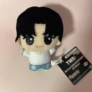 TWS 용제 SD 인형 봉제 인형 마스코트