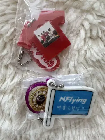 N.Flying POPUP(팝업) 가챠 순혁 키링 2개