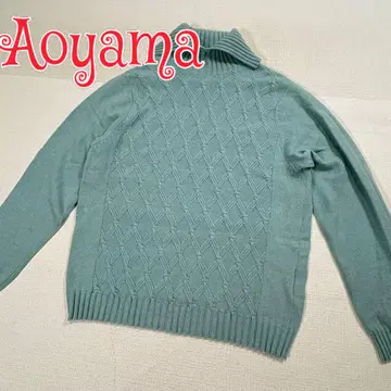 Aoyama 캐시미어 스웨터 라이트 블루 아오야마 FREE