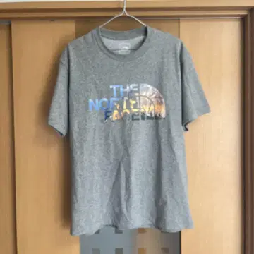 THE NORTH FACE 그레이 티셔츠