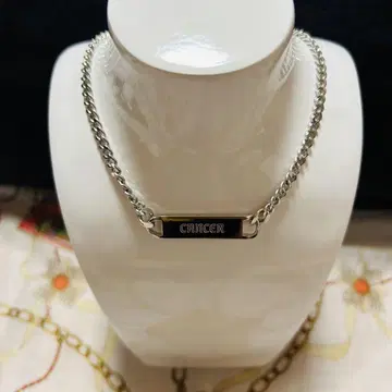 PAMEO POSE PISCES PLATE CHOKER 게자리 초커