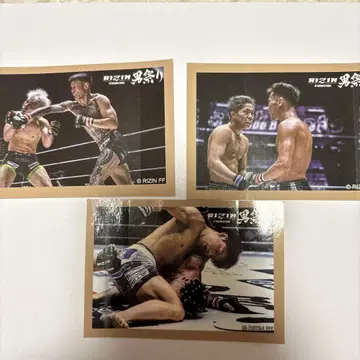 복권 플라 RIZIN 남자 축제 D상 공식 사진 스티커 3장 세트
