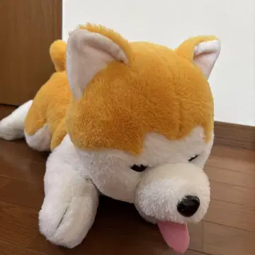 아키타견 오코메짱 봉제 인형