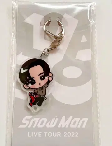 미개봉 SnowMan 스노우 칠 아크릴 키링 메구로 렌