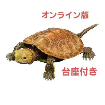 오렌지 생물대도감 어드밴스 카메02 온라인판