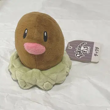 포켓몬 센터 오리지널 디그다 Pokmon fit 봉제인형