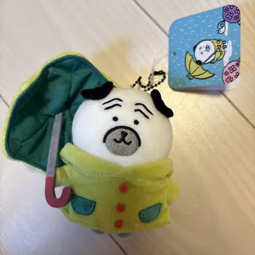 나가노 캐릭터들 비가 오네요 마스코트 퍼그