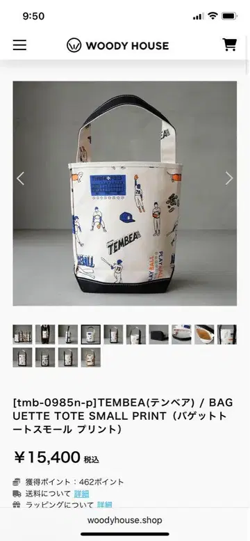 TEMBEABAGUETTE TOTE SMALL 야구 패턴