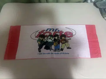 Mr. 멤버 캐릭터 타월