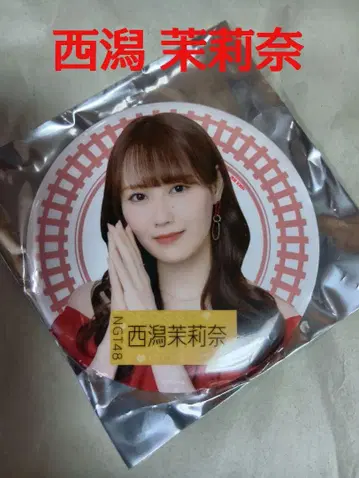NGT48 극장 복권 3등 캔뱃지 니시타니 마리나 배지