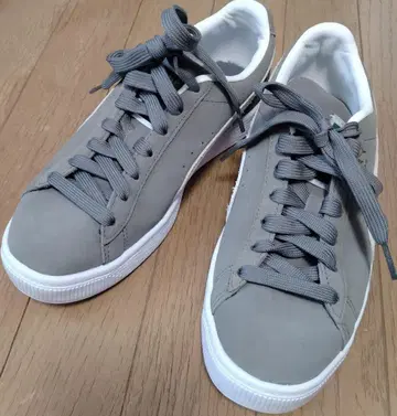 Puma ProFoam 그레이 스니커즈