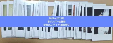코도모 드래곤 유메 생탄제 폴라로이드 사진