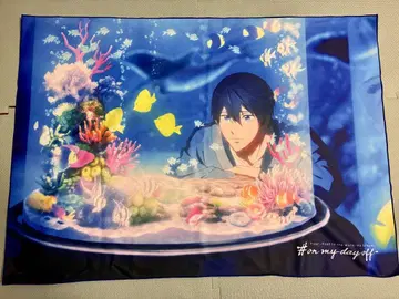 Free! on my day off 나나세 하야토 담요