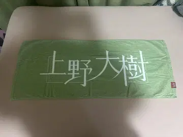 우에노 다이지 로고 타월 그린