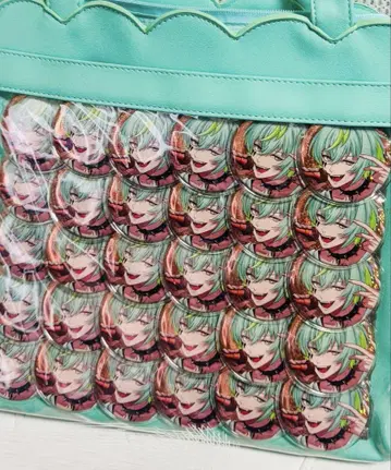 파라라이 미코시타 켄타