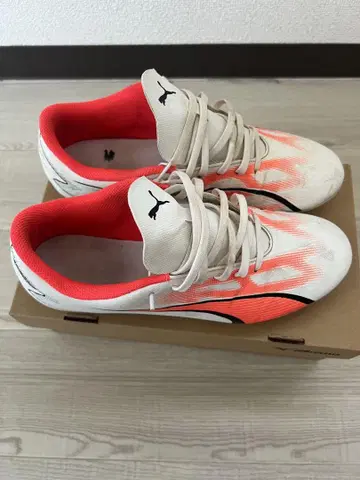 Puma 얼티밋 울트라 26cm