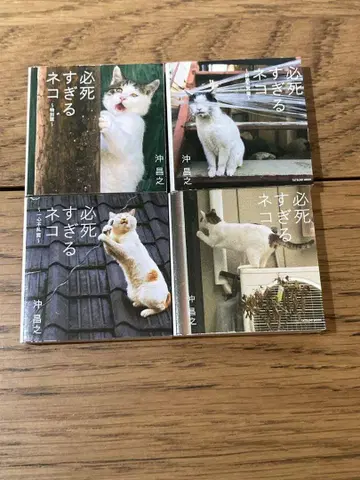 너무 필사적인 고양이 콩 도서 전 4종 세트