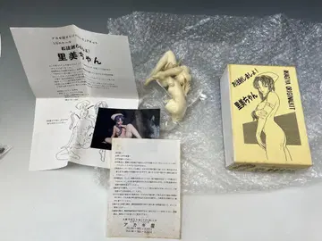 미조립 레진 키트 아카기야 오리지널 키트 주사 맞자 사토미짱