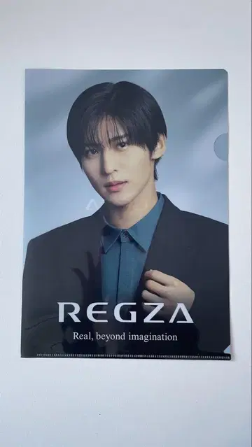 메구로 렌 REGZA 클리어 파일 [새상품 양품]