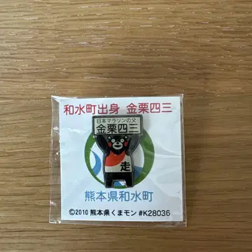 곰몬 금 밤 43 핀 배지
