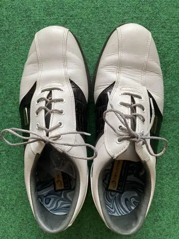 FootJoy ECL Leather System 골프화