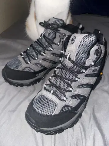 Merrell Moab 2 MID (모아브2 미드) 26.5 등산화